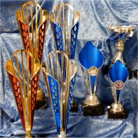 Different types of trophies